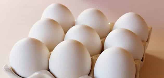 تعبیر خواب تخم مرغ برای زن باردار