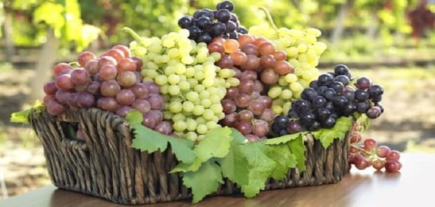 تعبیر خوردن انگور در خواب برای زن باردار