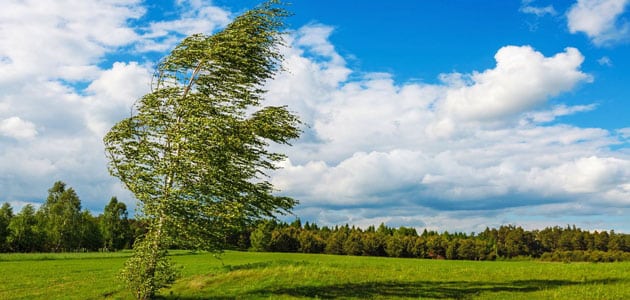 تعبیر دیدن باد شدید در خانه در خواب