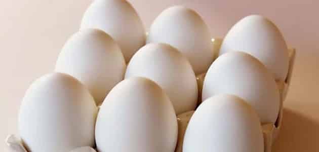تعبیر دیدن تخم مرغ در خواب