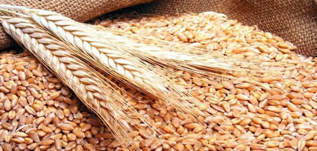تعبیر دیدن جو در خواب