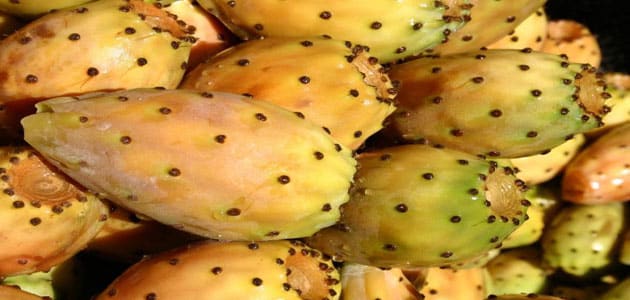 تعبیر دیدن گلابی خاردار در خواب