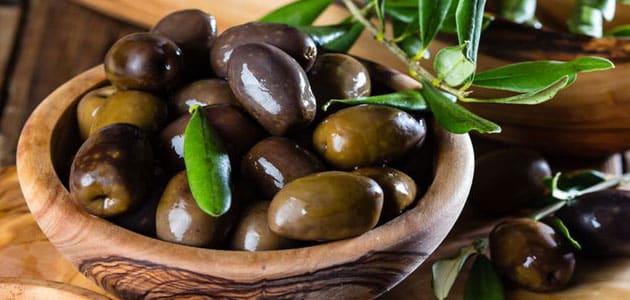 تعبیر دیدن زیتون در خواب برای مفسرین بزرگ