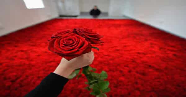 تعبیر هدیه دادن گل رز در خواب به ابن سیرین