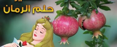 تعبیر خواب انار برای زن باردار در خواب