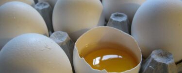 تعبیر دیدن تخم مرغ در خواب