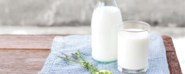 تعبیر دیدن شیر در خواب