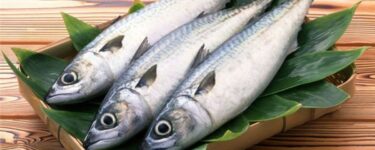 تعبیر دیدن ماهی خام در خواب برای زنان مجرد، متاهل، زنان باردار، زنان مطلقه و مردان