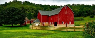 https://www.arab-box.com/the-farm-is-in-a-dream/