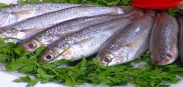 د تعبیر دیدن فسیخ در خواب و خوردن آن به نقل ابن سیرین فسیخ در خواب برای یک زن باردار